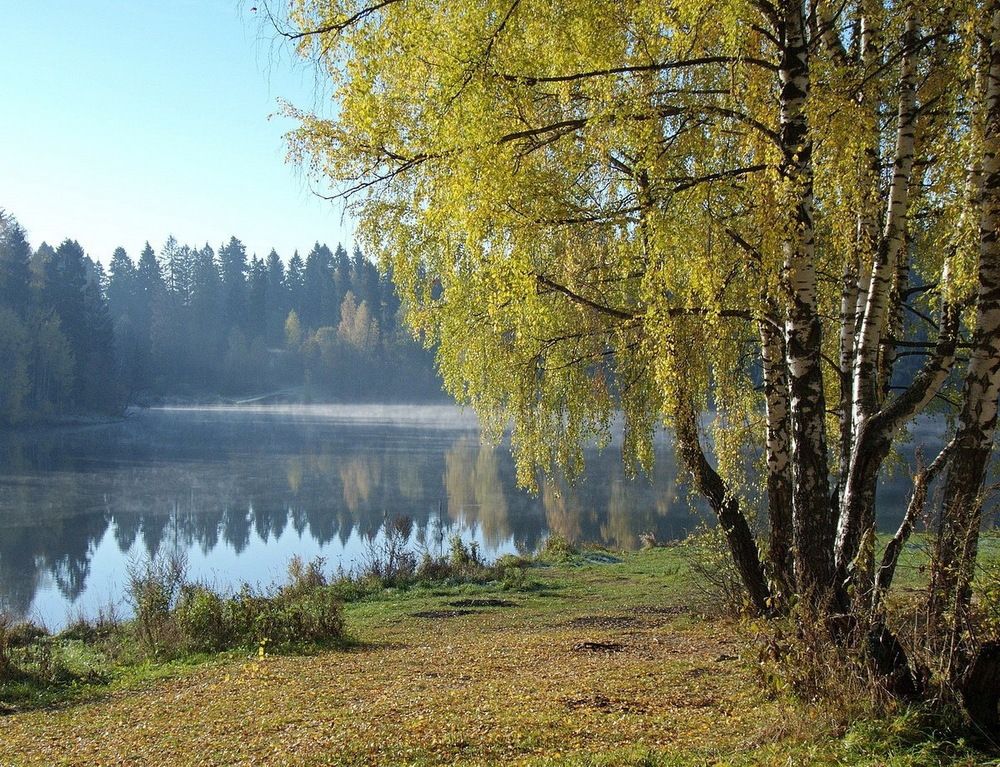 Photograph by Игорь Меньшенин