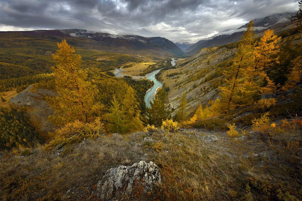 Photograph by Светлана Крат