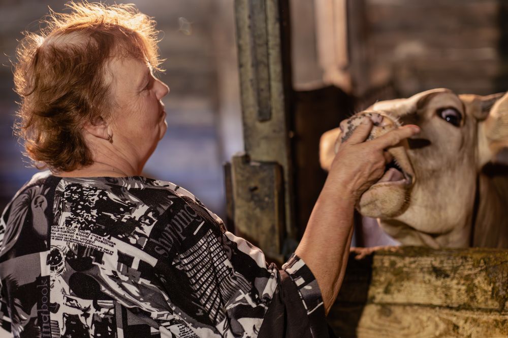 Photograph by Ольга Веретенникова