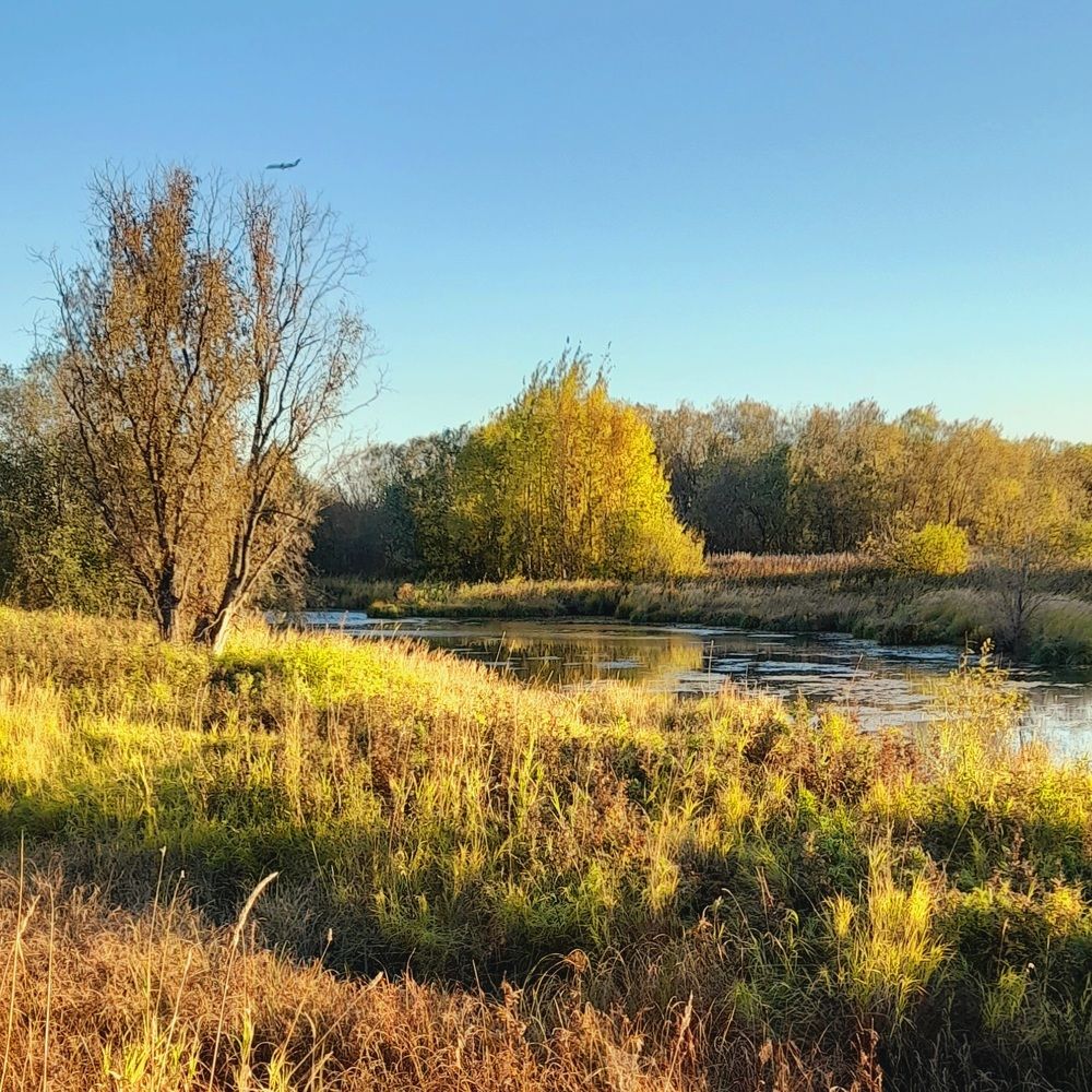 Photograph by Соколова Елена