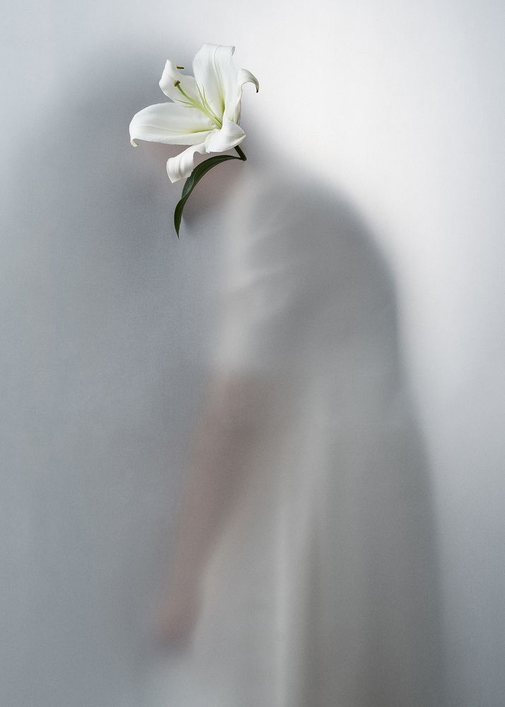 Фотография автора amirhossein loloei