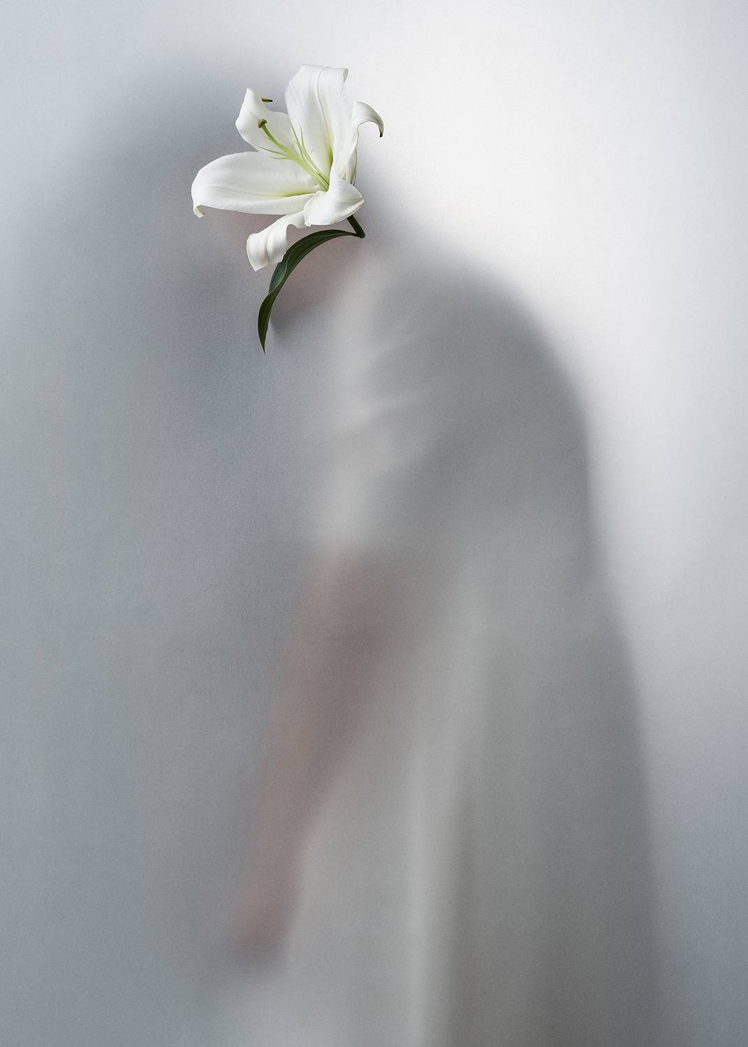 Фотография #9663315