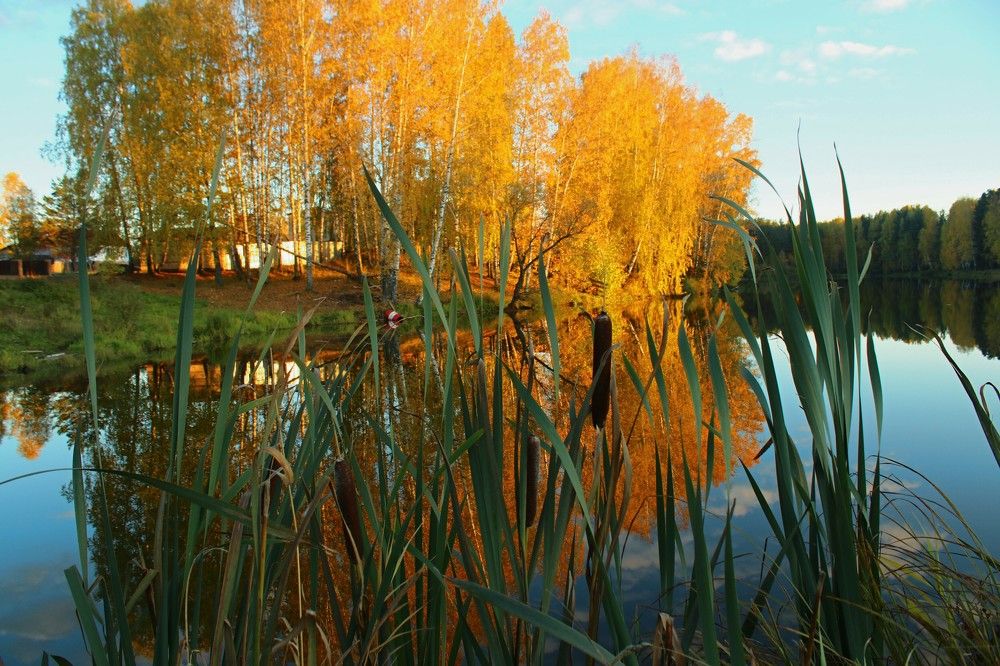 Photograph by Галина Мазур