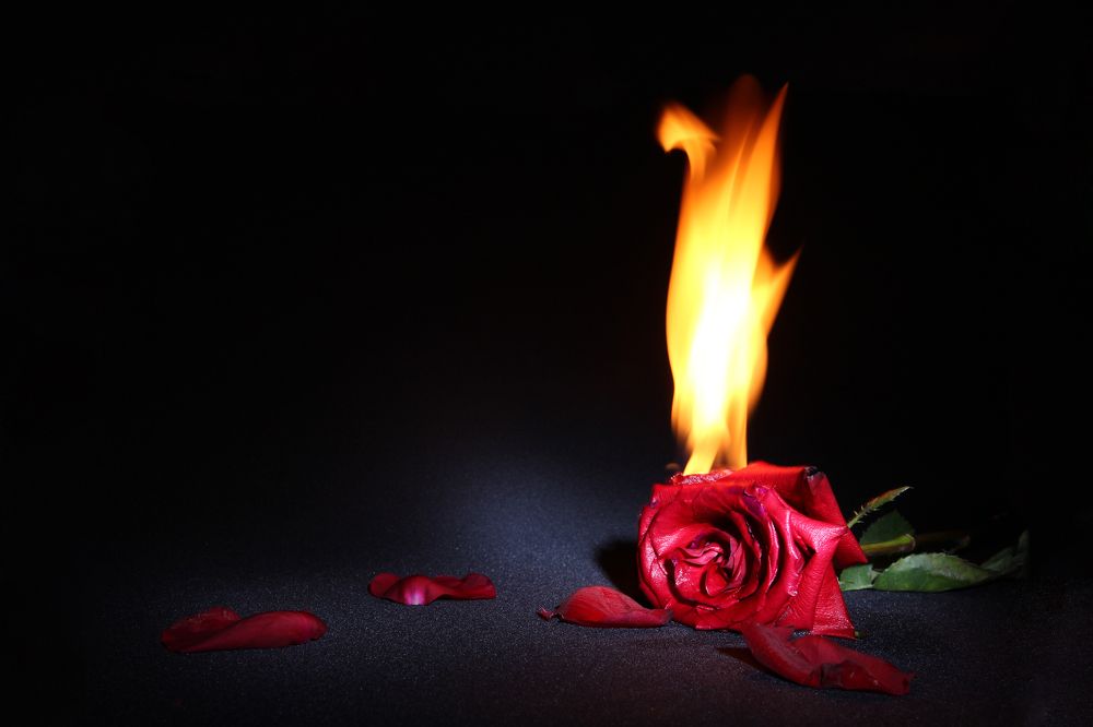 Photograph by Роман Белов