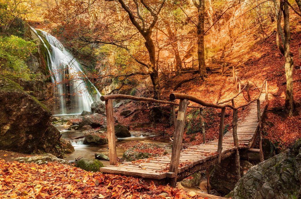 Photograph by Лариса Дука