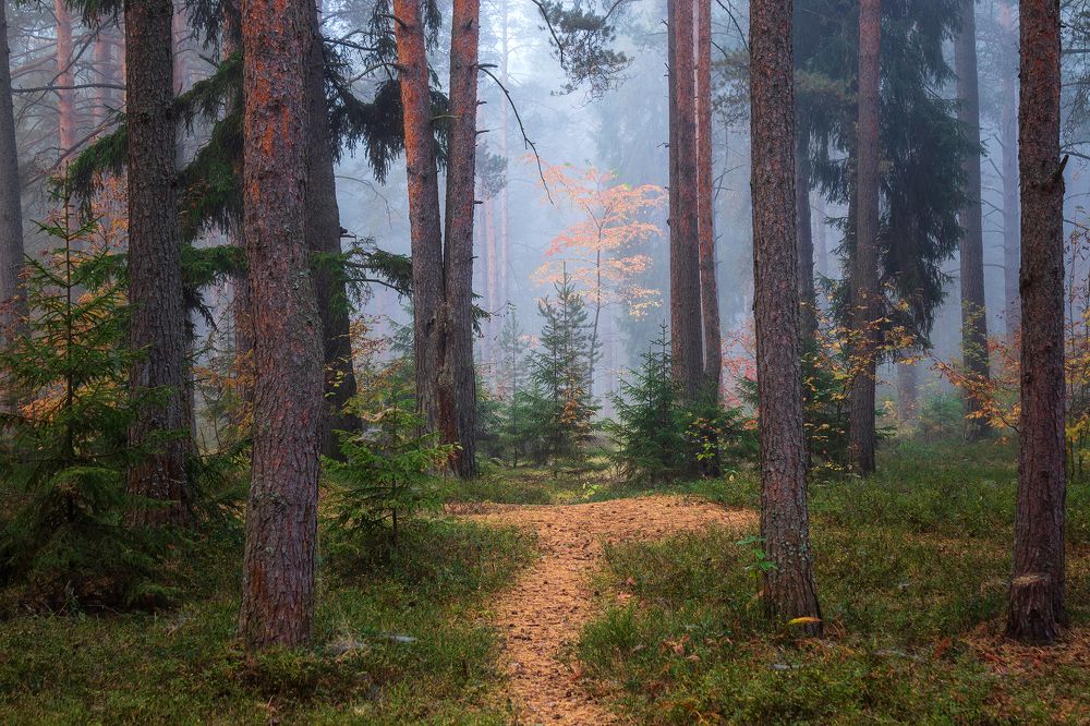 Photograph by Еремеев М.