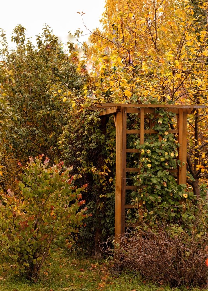 Photograph by Марина Тувышева-Чукавина