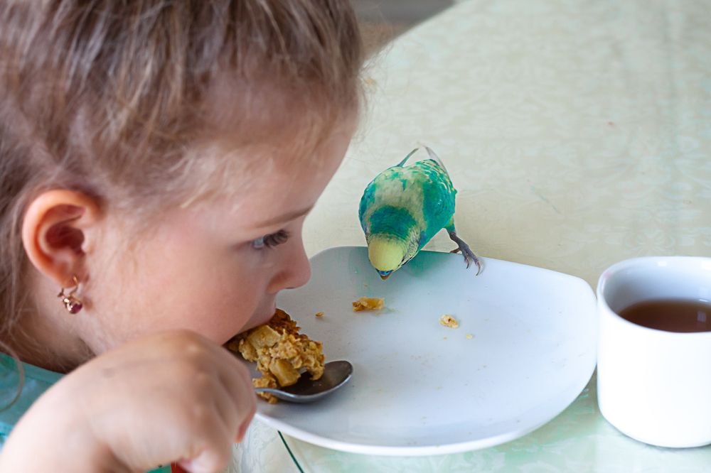 Photograph by Тамара Урцева