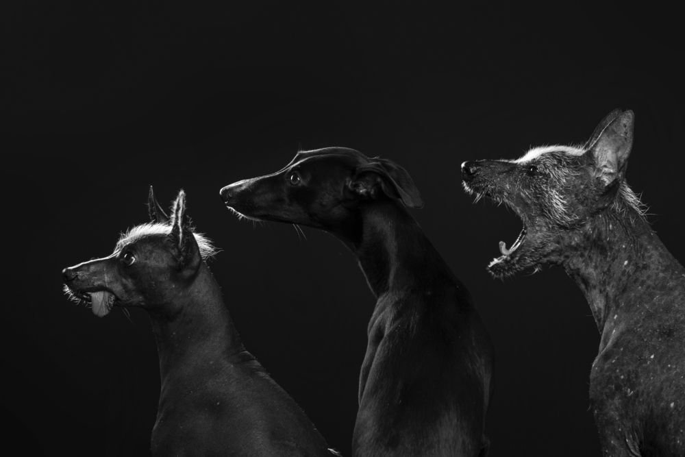 Photograph by наталья залогина