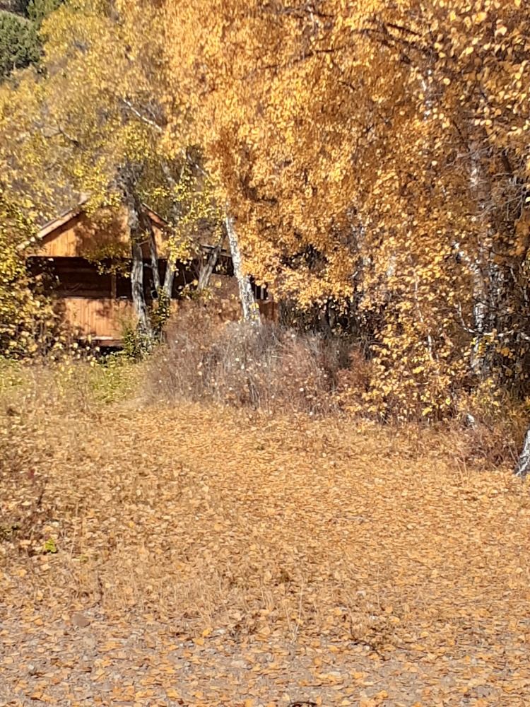 Осень на Большой Байкальской тропе