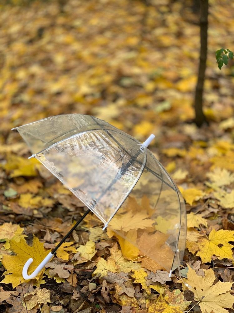 Photograph by гульназ замалеева