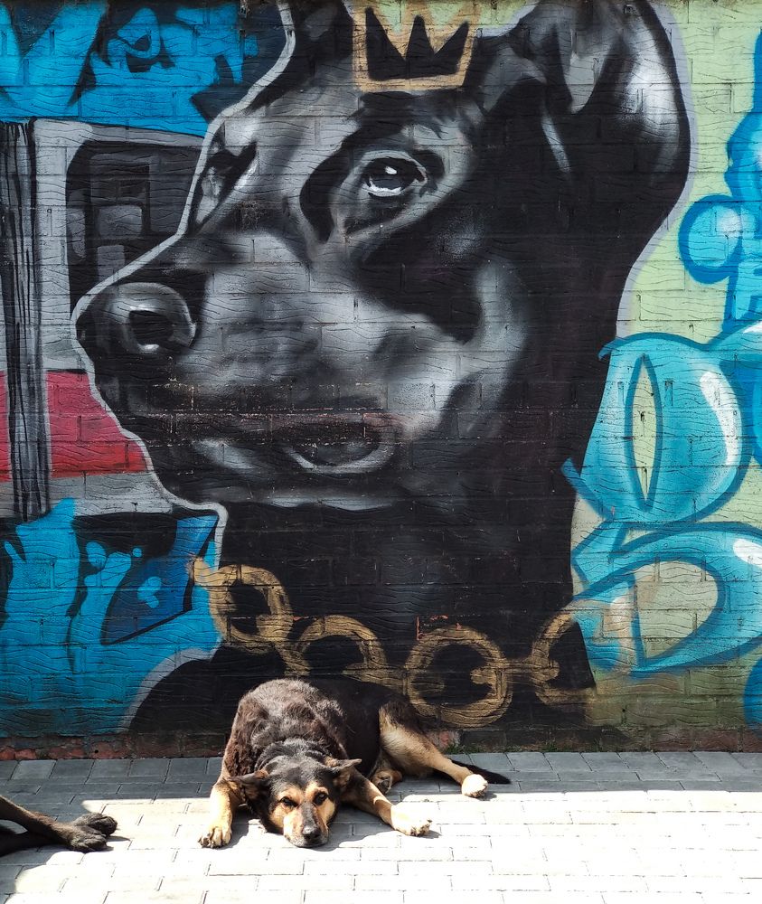 Photograph by Наталья Трофимова