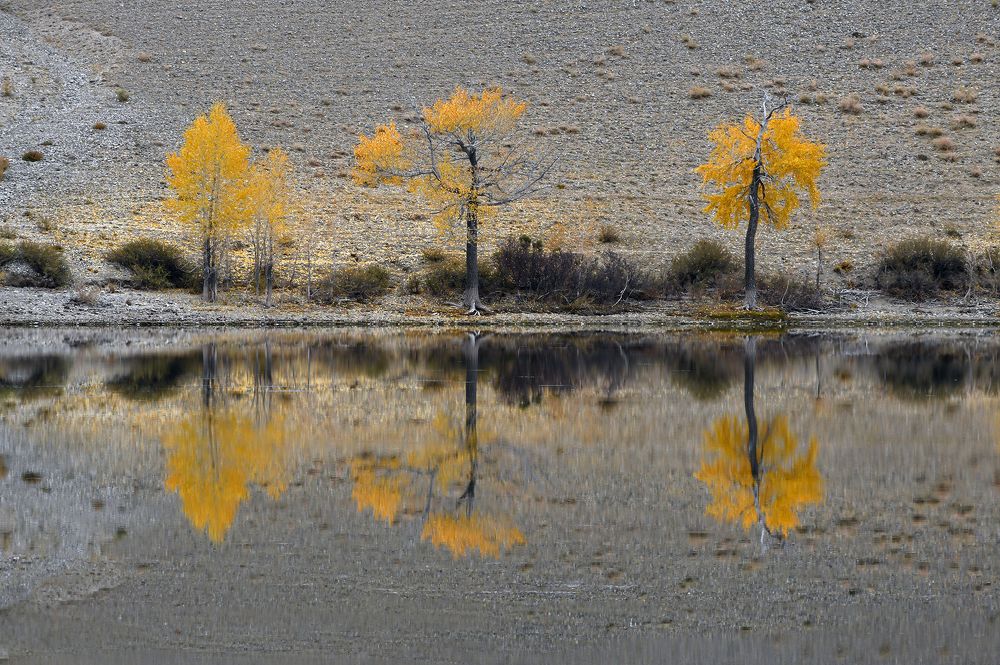 Photograph by Светлана Крат