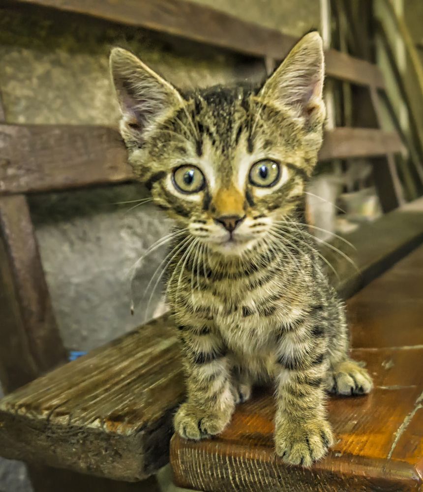 Фотография автора Milena Ivanova