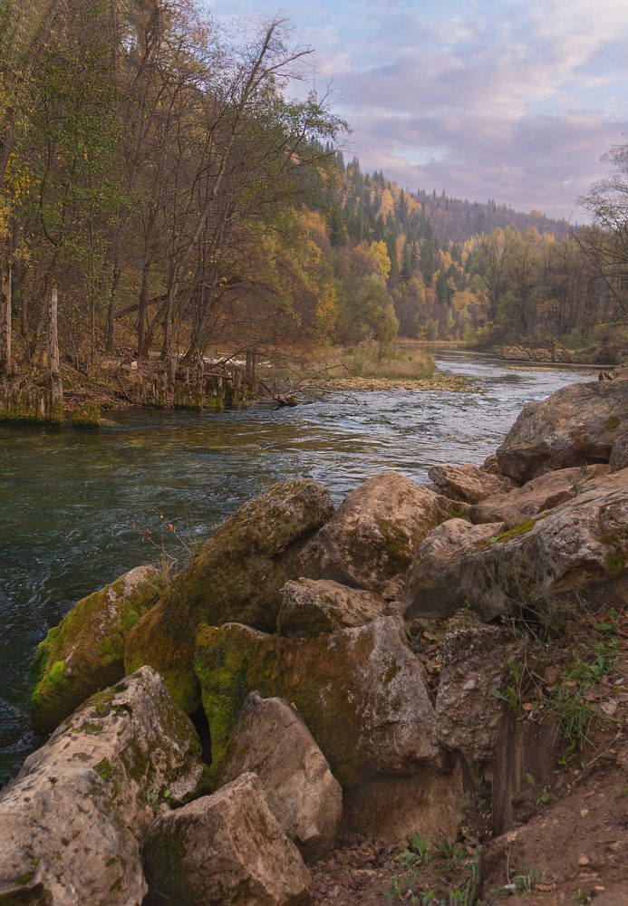 Photograph by Larisa Usova