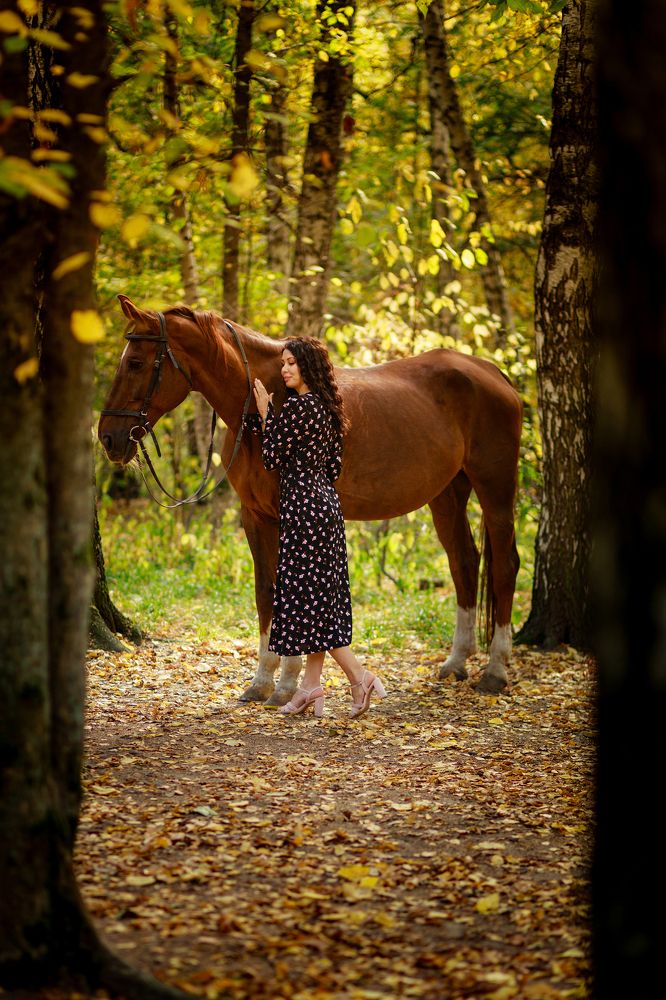 Фотография автора Алексей Сафаров