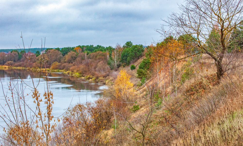 Photograph by Сычев Эдуард