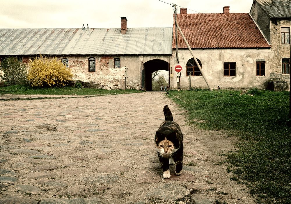 Photograph by Ольга Стоун