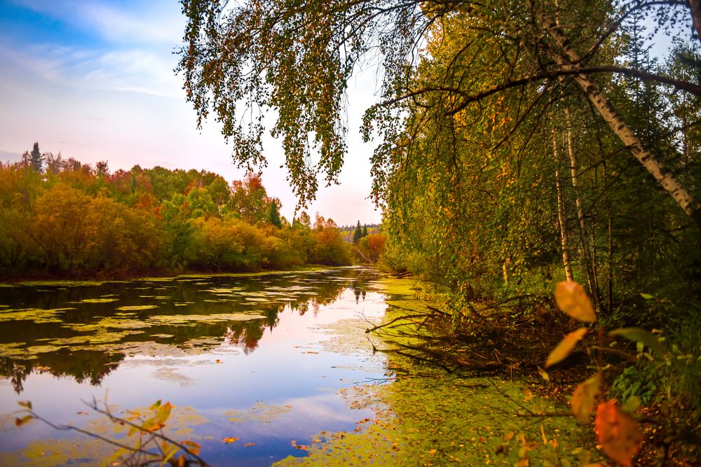 Photograph by Ильдар Шангараев