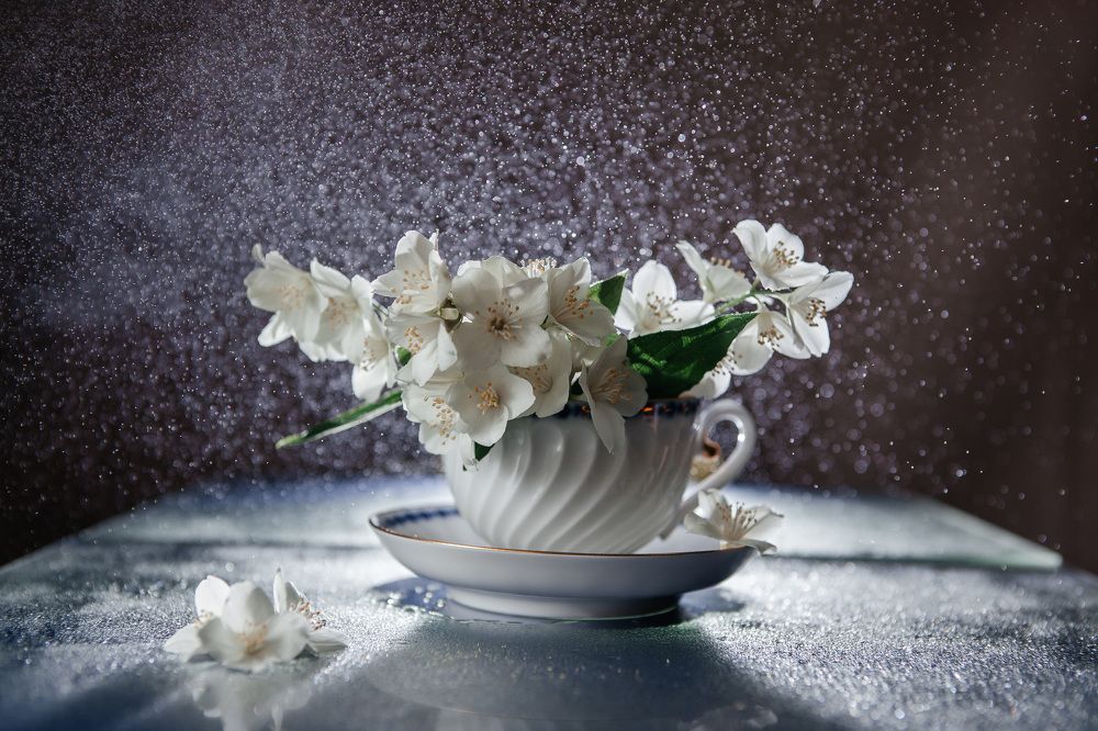 Photograph by Любовь Нефедова