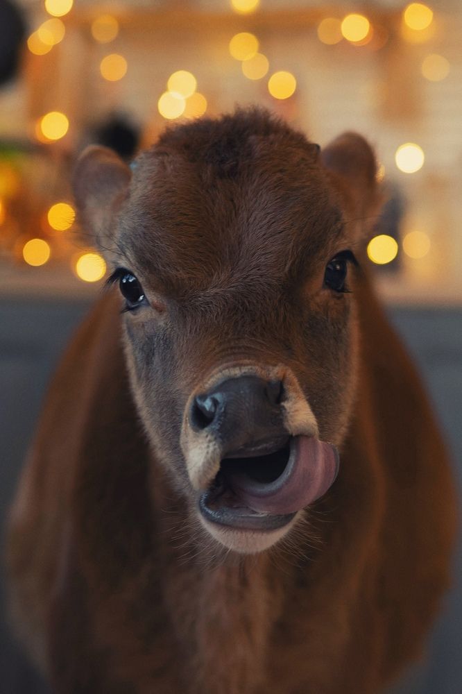 Photograph by Oxana Denina