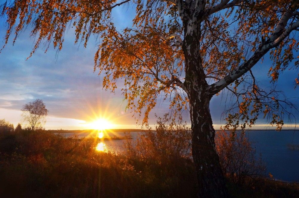 Photograph by Мишустина Татьяна