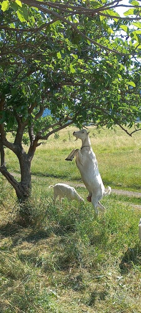 Photograph by Галина Воеводенко