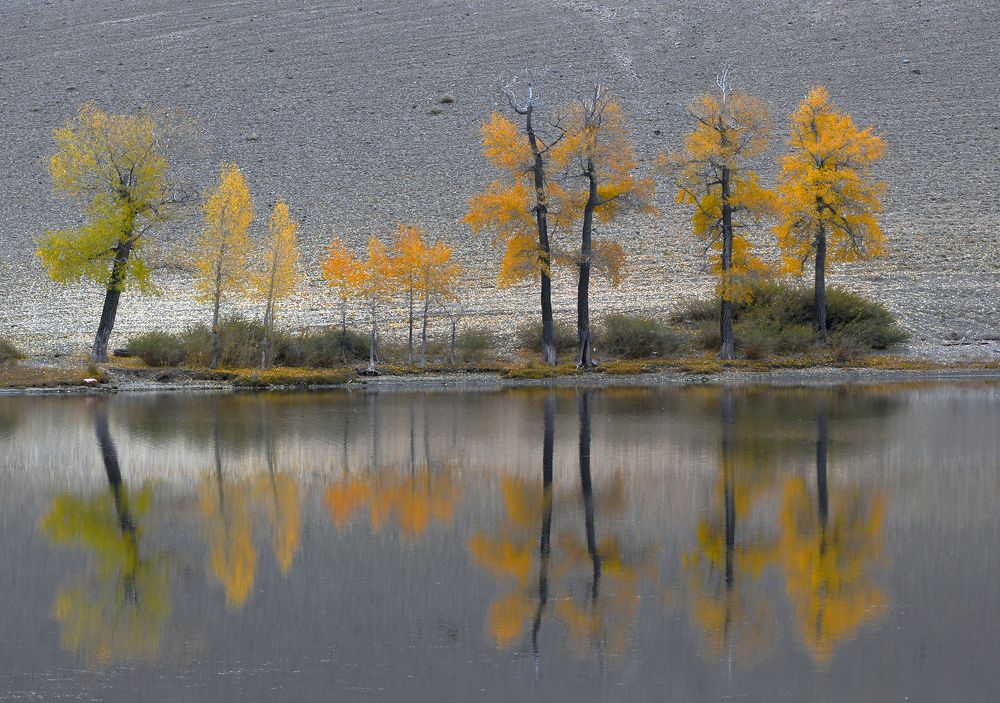 Photograph by Светлана Крат