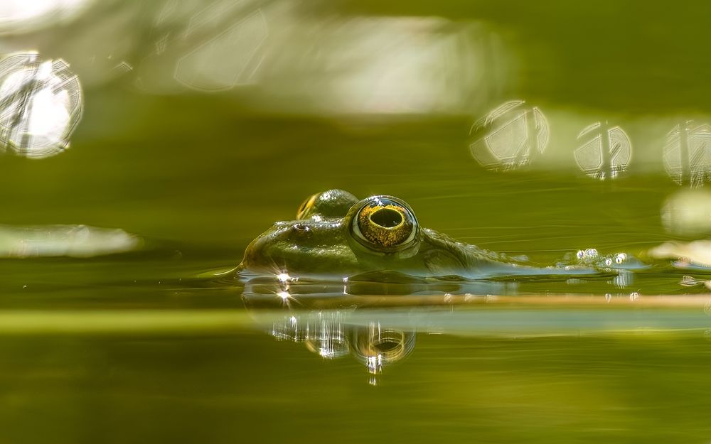 Photograph by Eva Frisnes