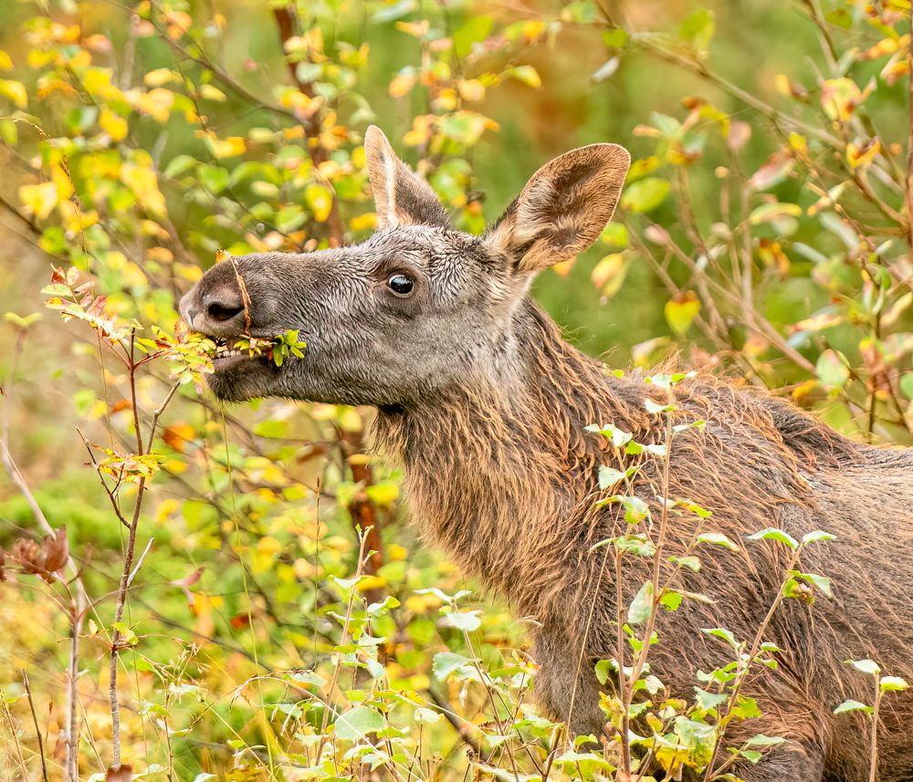 Photograph by Eva Frisnes