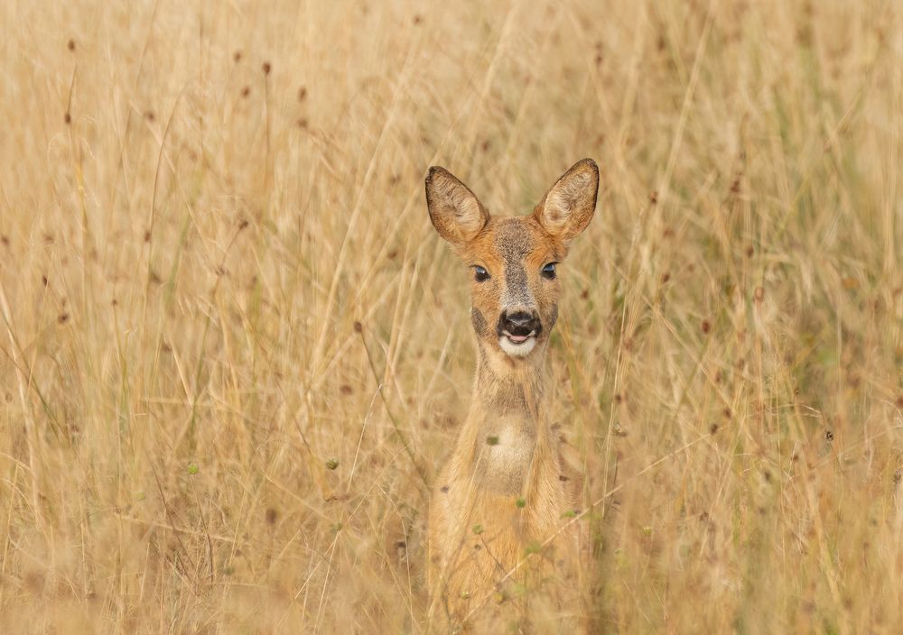Photograph by Eva Frisnes