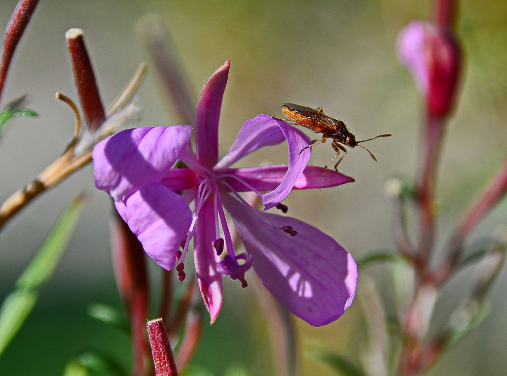 Photograph by Александр