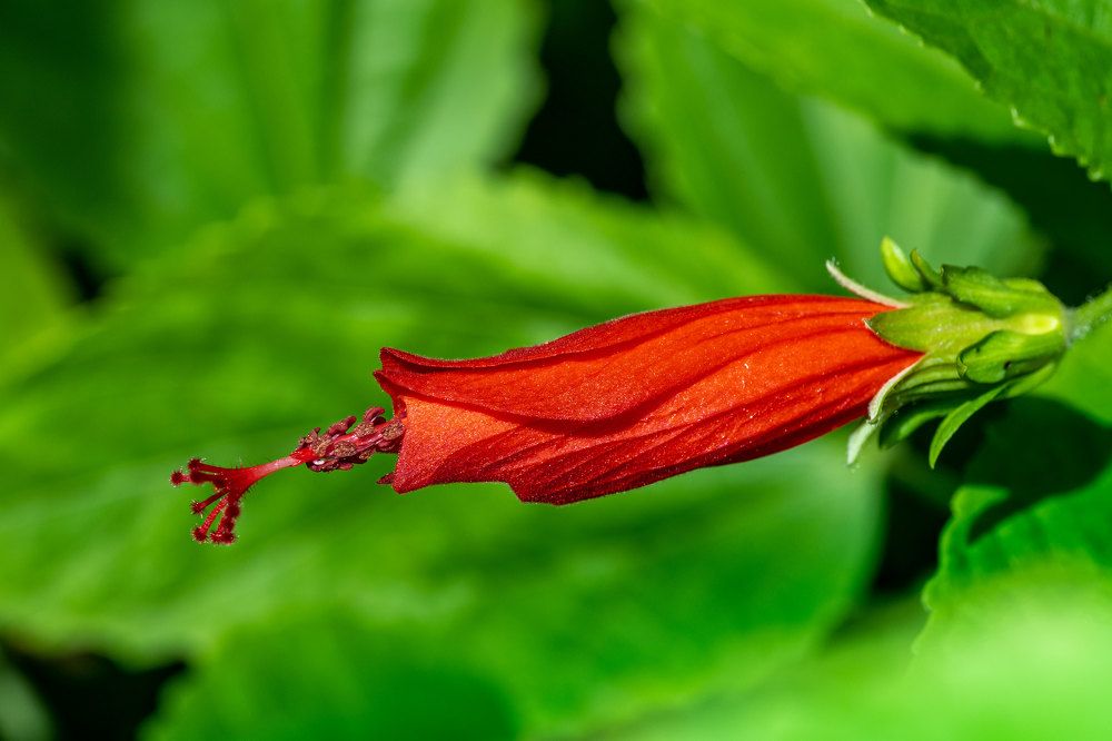 Фотография автора Erik Nelson