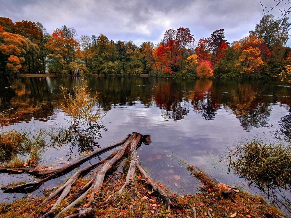Осенний день.