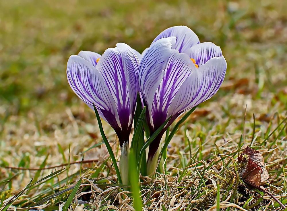 Photograph by Александр