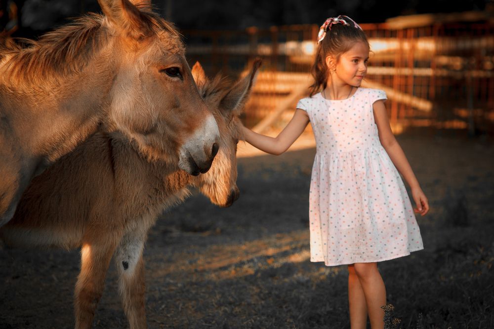 Photograph by арабаджи дмитрий