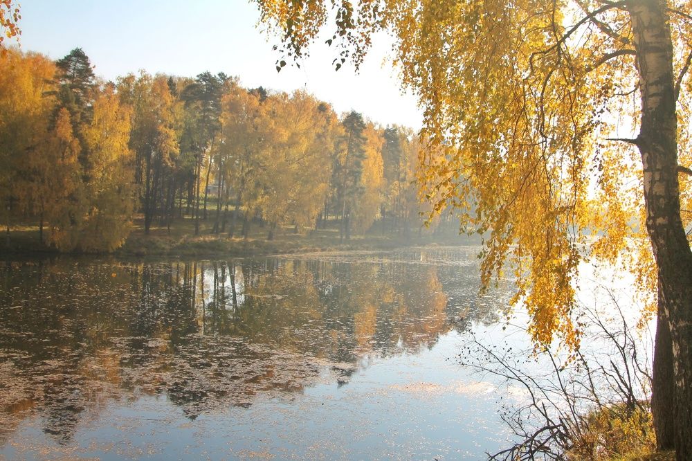 Photograph by Виктория Хмара