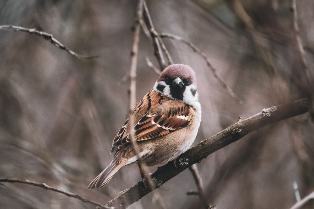 Photograph by Хельга Кольцова