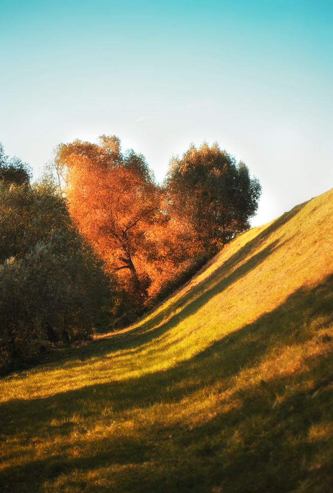 Photograph by Ксения Базарова