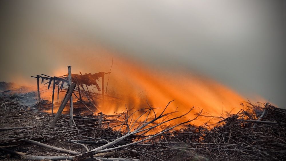 Photograph by Andrew Becker