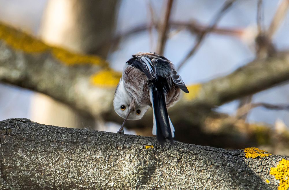 Photograph by Волынский Виктор