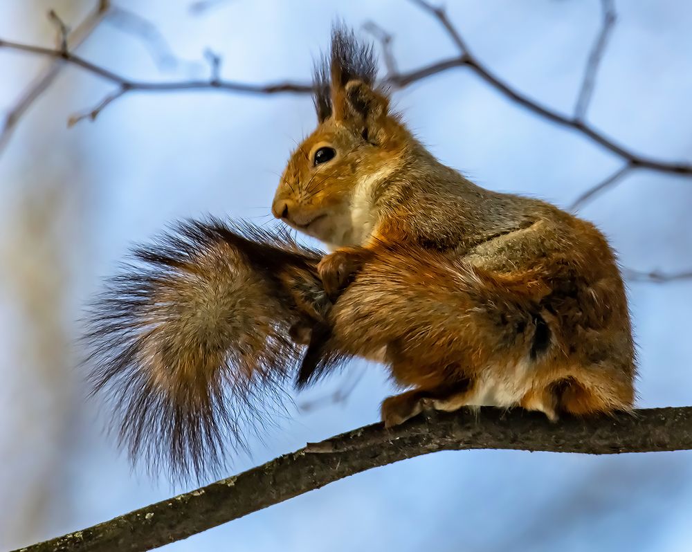 Photograph by Волынский Виктор