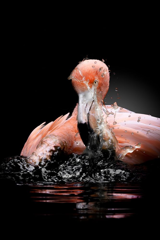 Photograph by Sandra de Bedout