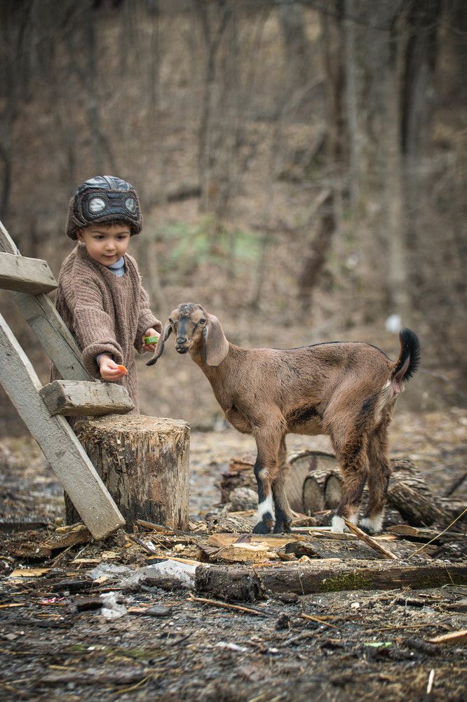 Photograph by Ольга Гамей