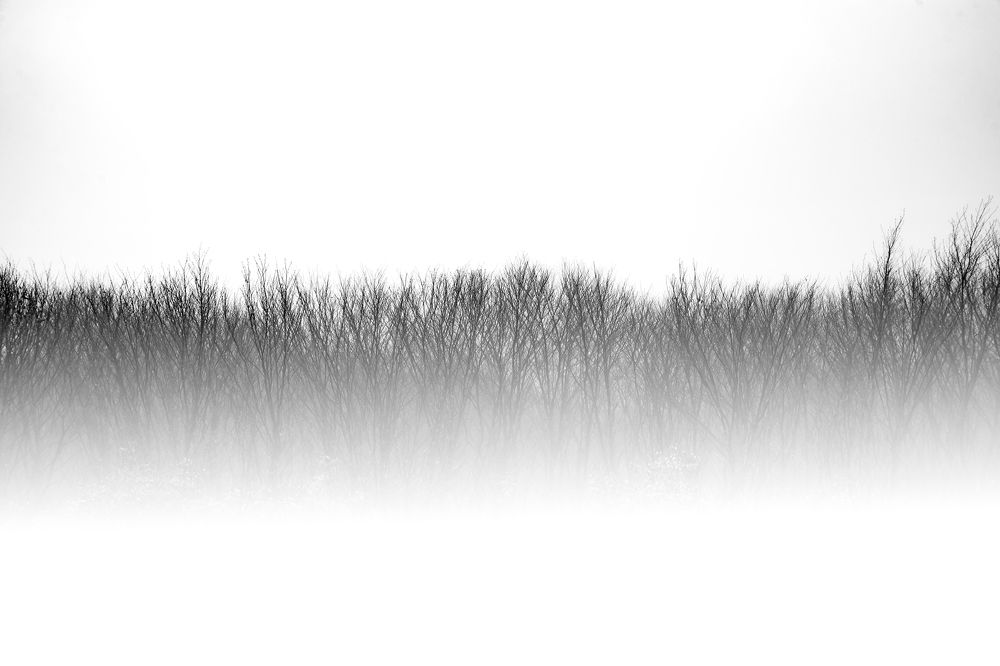 Photograph by Riahi Hosein