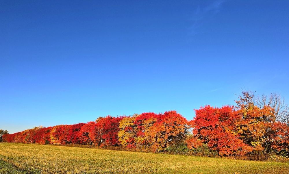 Фотография автора Сергей Можаев