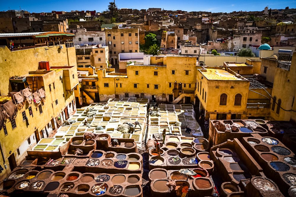 Photograph by Elena Koleva