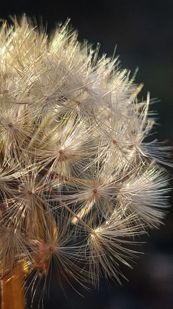 Photograph by Svitlana Usatenko