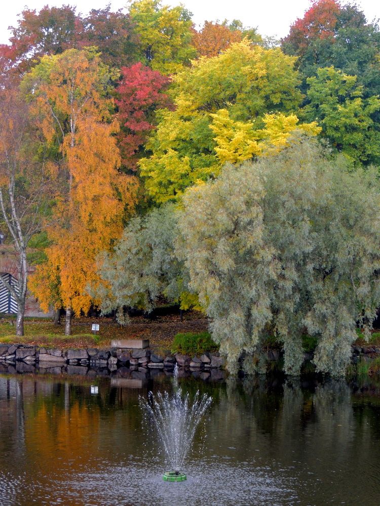 Photograph by Дмитрий Салов