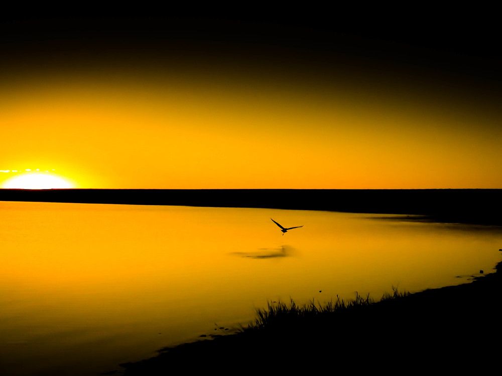 Photograph by Conrad Koorsten